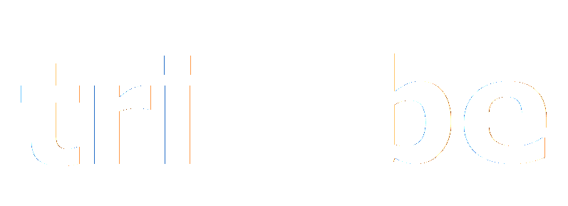 triXbe | Website Design | Kenosha, WI